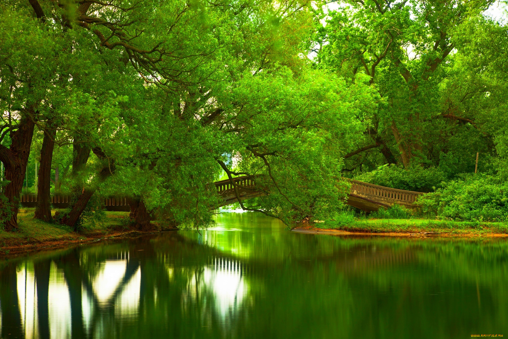 , , nature, river, water, forest, park, trees, bridge, leaves, colorful, spring, fall, colors, walk, , , , , , , 
